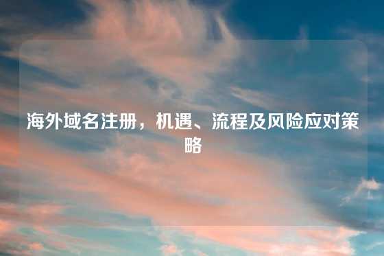 海外域名注册，机遇、流程及风险应对策略