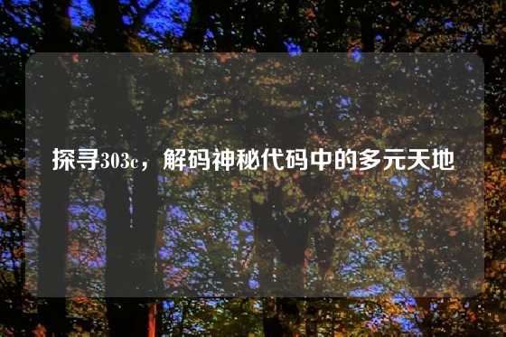 探寻303c，解码神秘代码中的多元天地