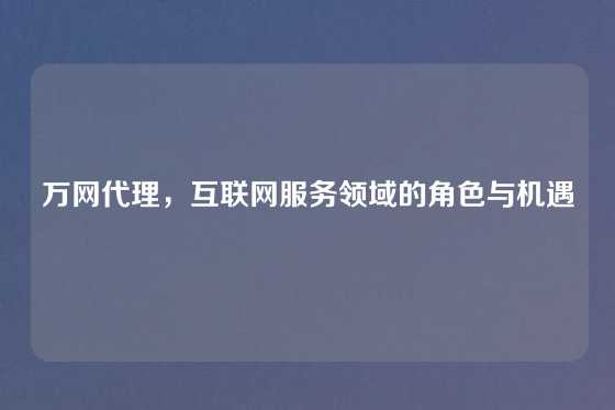 万网代理，互联网服务领域的角色与机遇