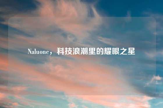 Naluone，科技浪潮里的耀眼之星