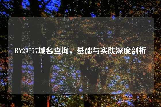 BY29777域名查询,基础与实践深度剖析