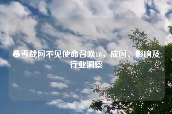 暴雪战网不见使命召唤16,成因、影响及行业洞察
