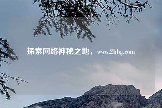探索网络神秘之地,www.2bbg.com