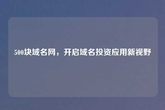 500块域名网,开启域名投资应用新视野