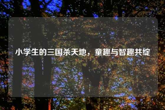 小学生的三国杀天地,童趣与智趣共绽