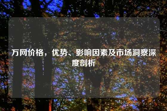 万网价格,优势、影响因素及市场洞察深度剖析
