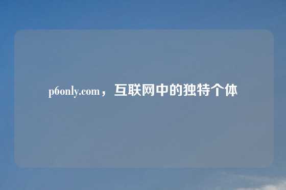 p6only.com,互联网中的独特个体