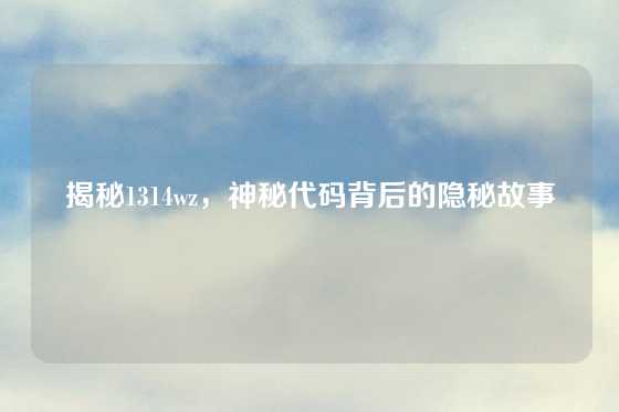 揭秘1314wz,神秘代码背后的隐秘故事