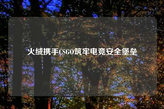 火绒携手CSGO筑牢电竞安全堡垒