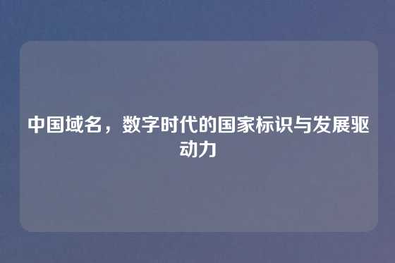 中国域名,数字时代的国家标识与发展驱动力