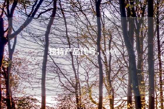 独特产品代号,yx99