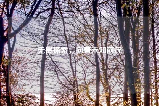无畏探索,向着未知前行