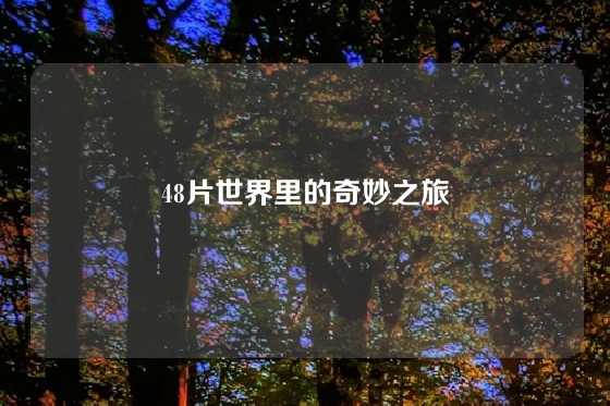 48片世界里的奇妙之旅