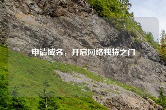 申请域名,开启网络独特之门