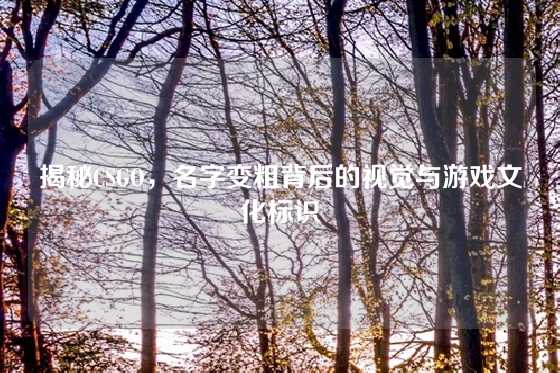 揭秘CSGO,名字变粗背后的视觉与游戏文化标识