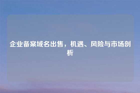 企业备案域名出售,机遇、风险与市场剖析