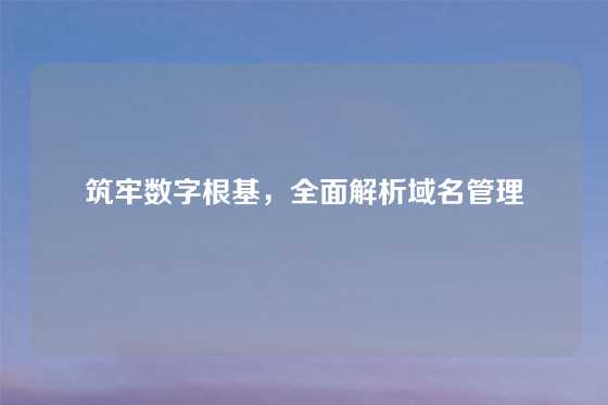 筑牢数字根基,全面解析域名管理