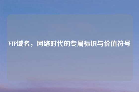 VIP域名,网络时代的专属标识与价值符号