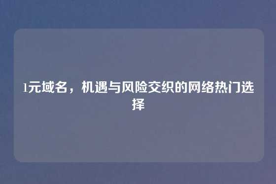1元域名,机遇与风险交织的网络热门选择