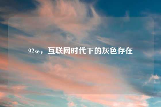 92se,互联网时代下的灰色存在