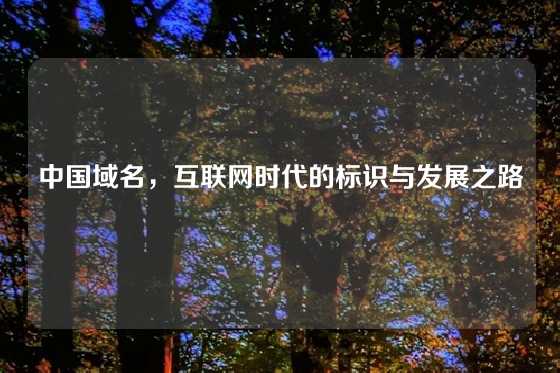 中国域名,互联网时代的标识与发展之路
