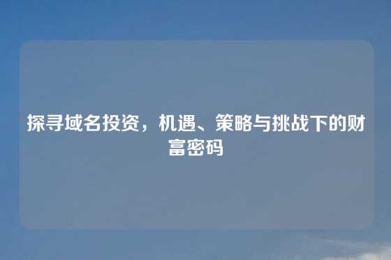 探寻域名投资，机遇、策略与挑战下的财富密码