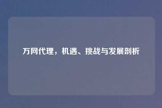 万网代理,机遇、挑战与发展剖析