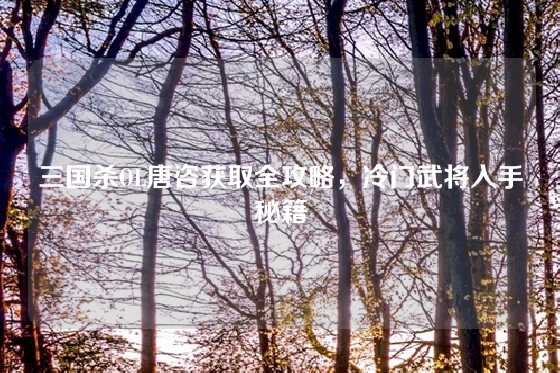 三国杀OL唐咨获取全攻略,冷门武将入手秘籍