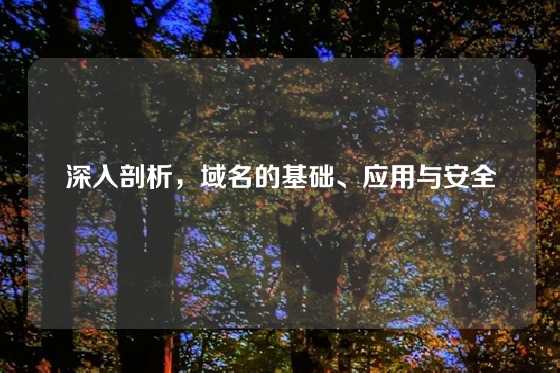 深入剖析,域名的基础、应用与安全