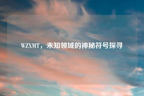 WZXMT，未知领域的神秘符号探寻