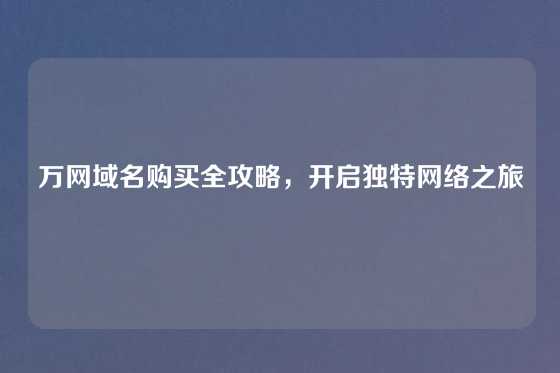 万网域名购买全攻略,开启独特网络之旅