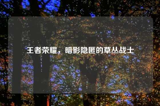 王者荣耀,暗影隐匿的草丛战士