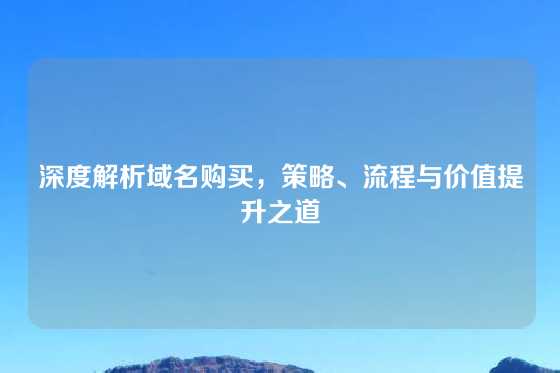 深度解析域名购买，策略、流程与价值提升之道