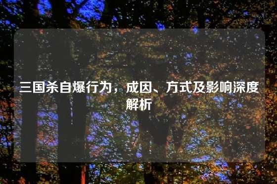 三国杀自爆行为,成因、方式及影响深度解析