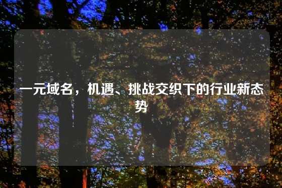 一元域名，机遇、挑战交织下的行业新态势