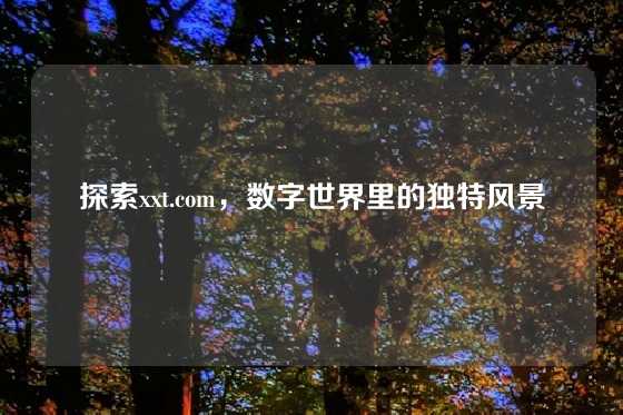 探索xxt.com，数字世界里的独特风景