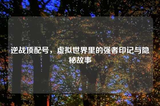 逆战顶配号,虚拟世界里的强者印记与隐秘故事