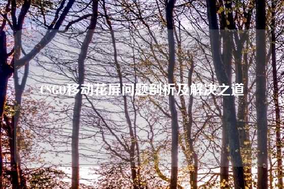 CSGO移动花屏问题剖析及解决之道