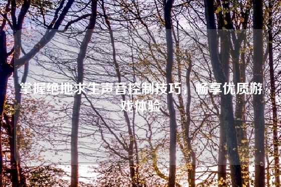 掌握绝地求生声音控制技巧,畅享优质游戏体验