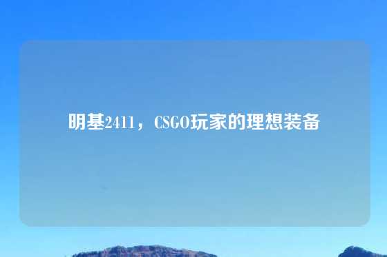 明基2411,CSGO玩家的理想装备