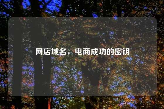网店域名,电商成功的密钥