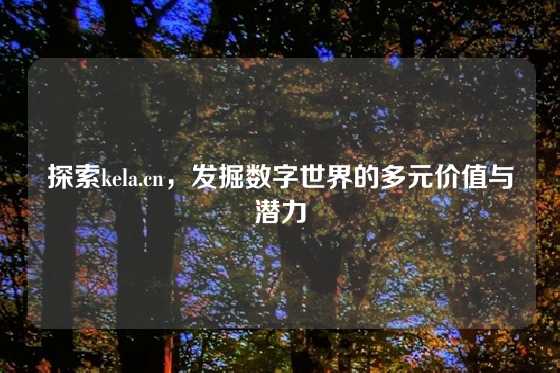 探索kela.cn,发掘数字世界的多元价值与潜力