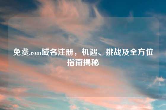 免费.com域名注册，机遇、挑战及全方位指南揭秘