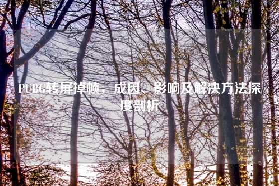 PUBG转屏掉帧,成因、影响及解决方法深度剖析