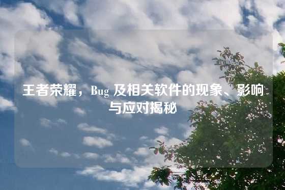 王者荣耀，Bug 及相关软件的现象、影响与应对揭秘