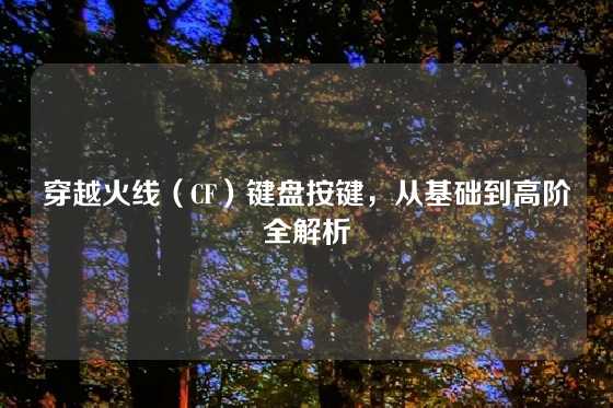穿越火线(CF)键盘按键,从基础到高阶全解析