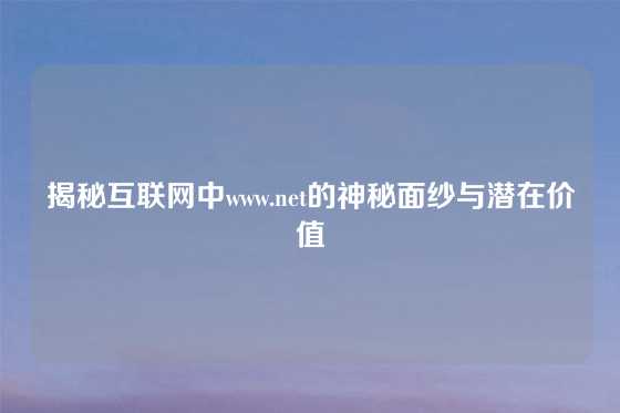 揭秘互联网中www.net的神秘面纱与潜在价值