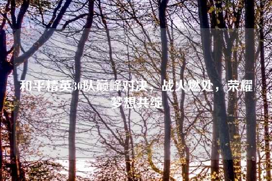 和平精英30队巅峰对决,战火燃处,荣耀梦想共绽