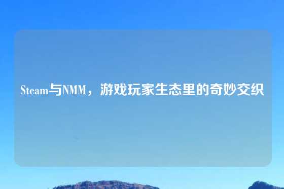 Steam与NMM,游戏玩家生态里的奇妙交织