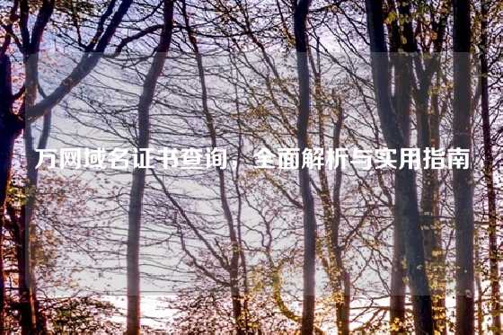 万网域名证书查询,全面解析与实用指南